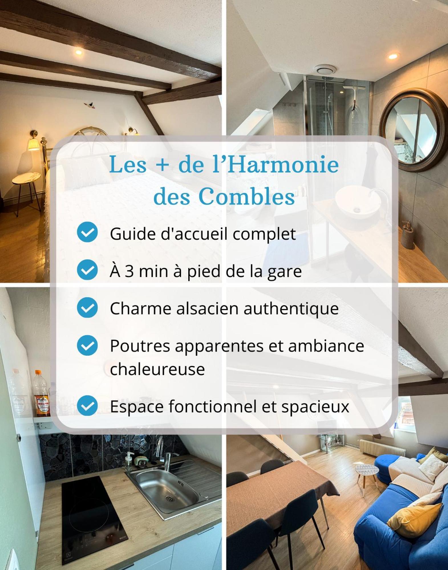 L'Harmonie Des Combles - Proche Gare - Petite France - Commerces A Proximite Strasbourg Luaran gambar
