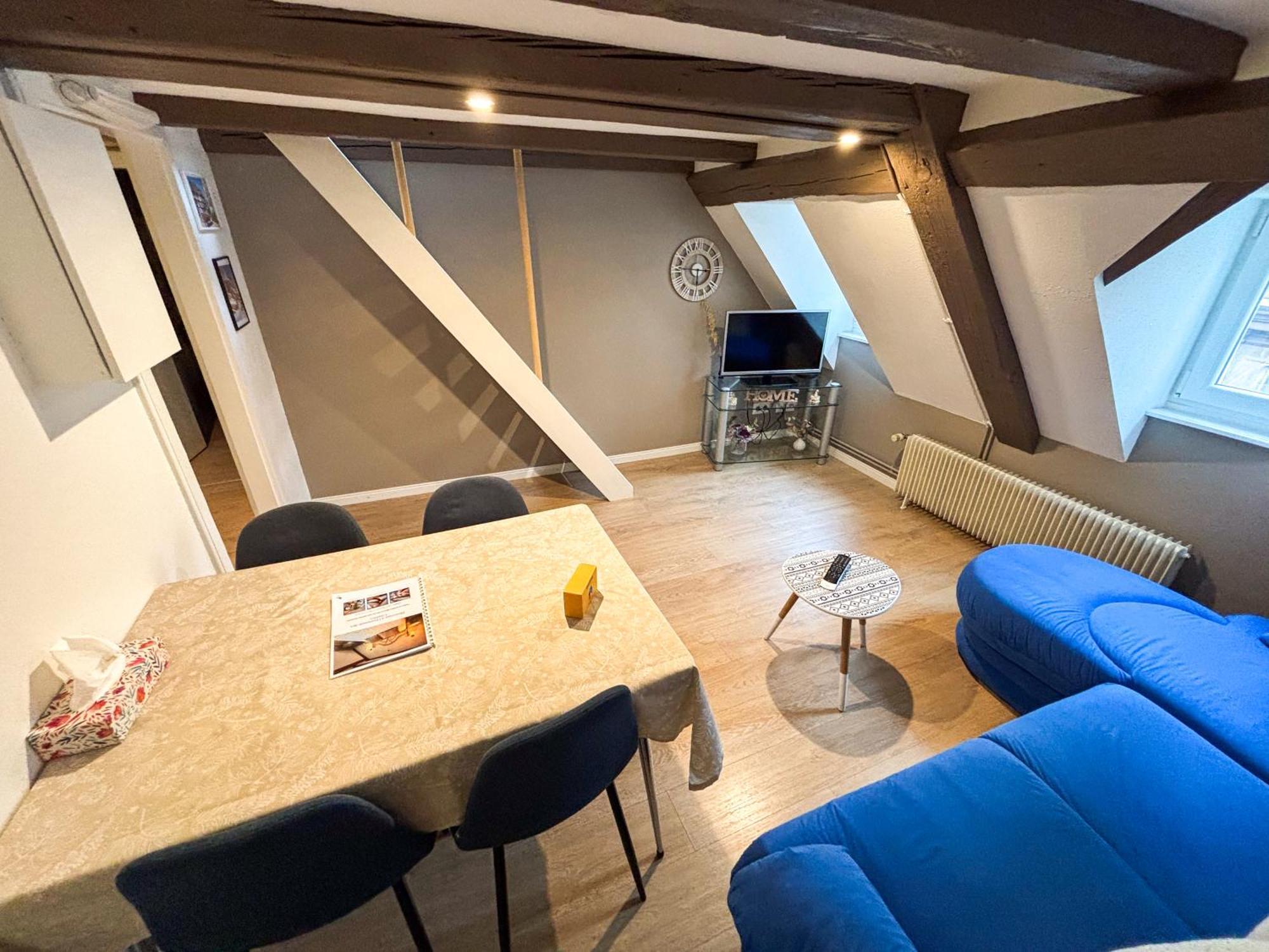L'Harmonie Des Combles - Proche Gare - Petite France - Commerces A Proximite Strasbourg Luaran gambar